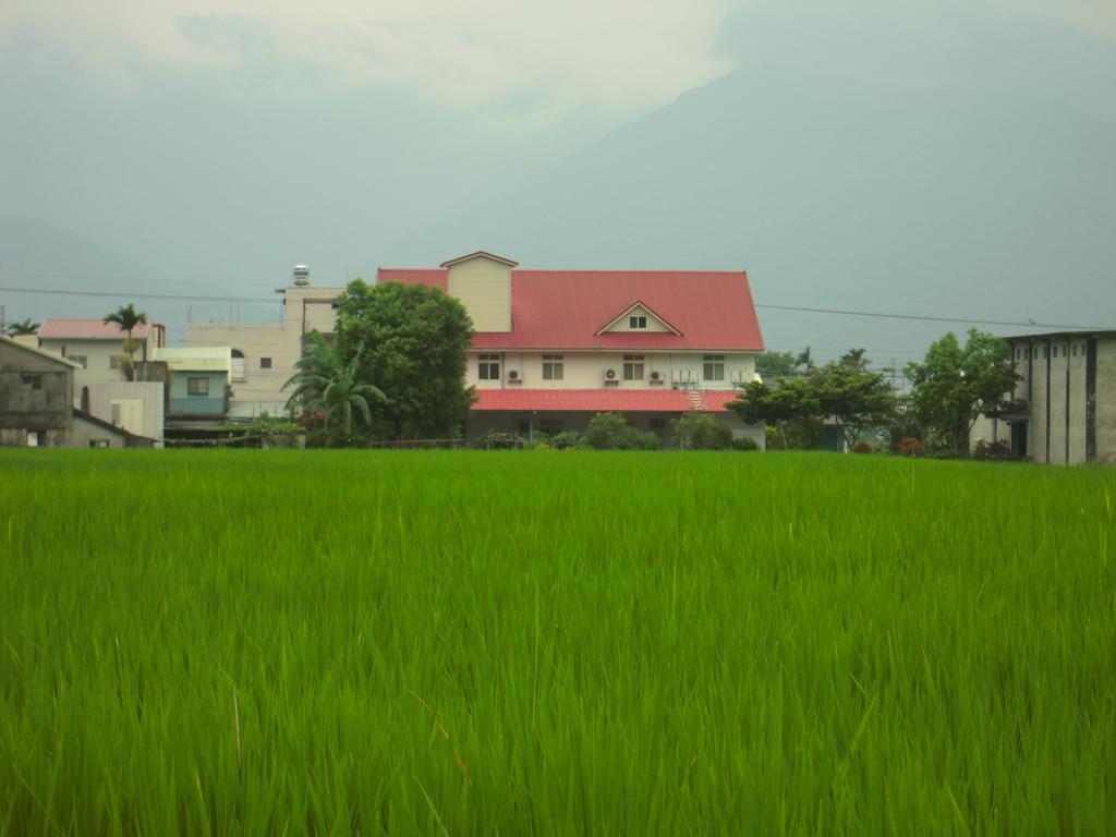 Golden Flower Homestay Yuli Exterior foto
